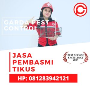Jasa Pembasmi Tikus Surabaya